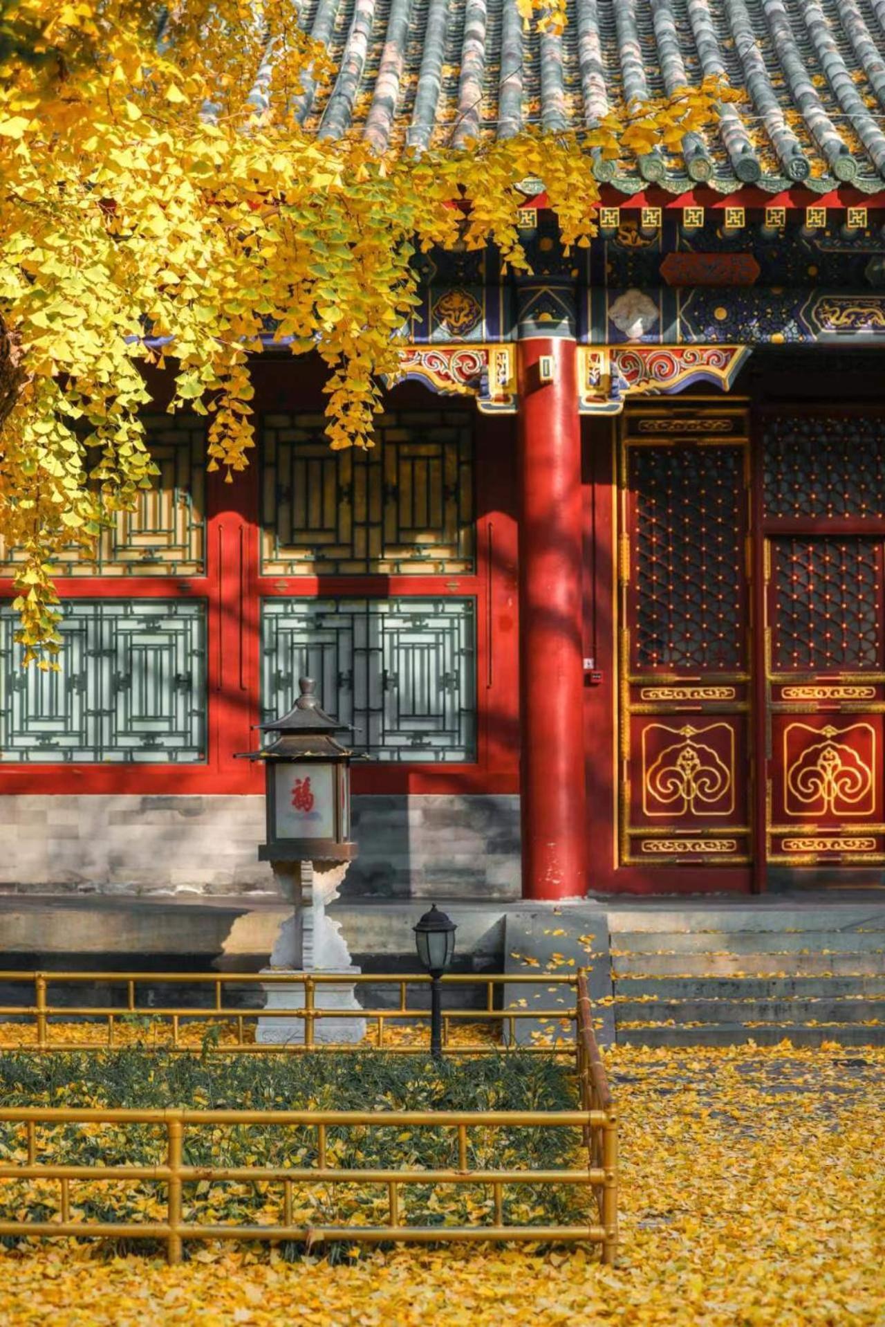Nostalgia Hotel Near Prince Gong'S Mansion- Beihai Park, Tian'Anmen Square, Nanluoguxiang Hutong, Huguosi Hutong Snack Street, 5 Minutes Walk Away From Ping'Anli Subway Station, Free Ice Cream And Laundry Service,English Communication Well بكين المظهر الخارجي الصورة